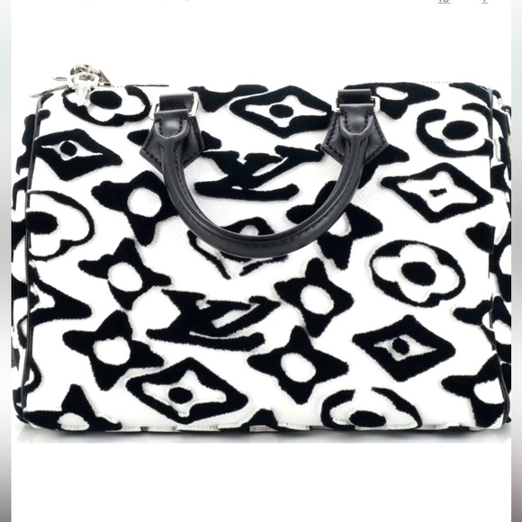 LV Speedy Bandouliere Urs Fischer Tufted Monogram Canvas 25 - Picture 2 of 15